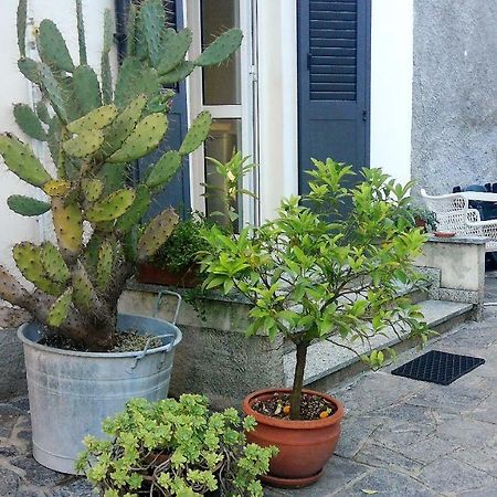 All'Ombra Dei Tassi Mandello del Lario Ngoại thất bức ảnh