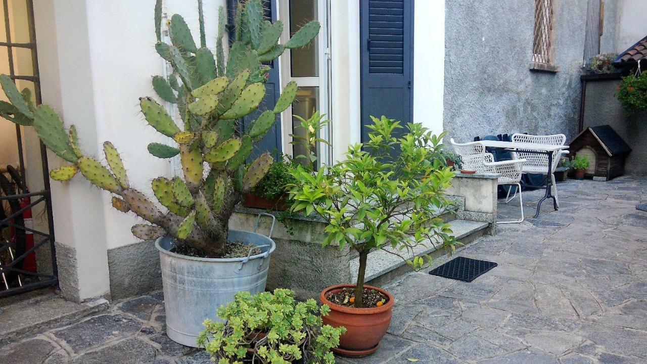 All'Ombra Dei Tassi Mandello del Lario Ngoại thất bức ảnh