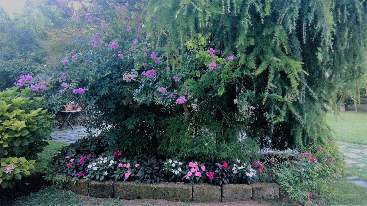 All'Ombra Dei Tassi Mandello del Lario Ngoại thất bức ảnh
